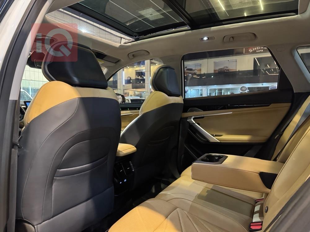 جيلي ستاراي